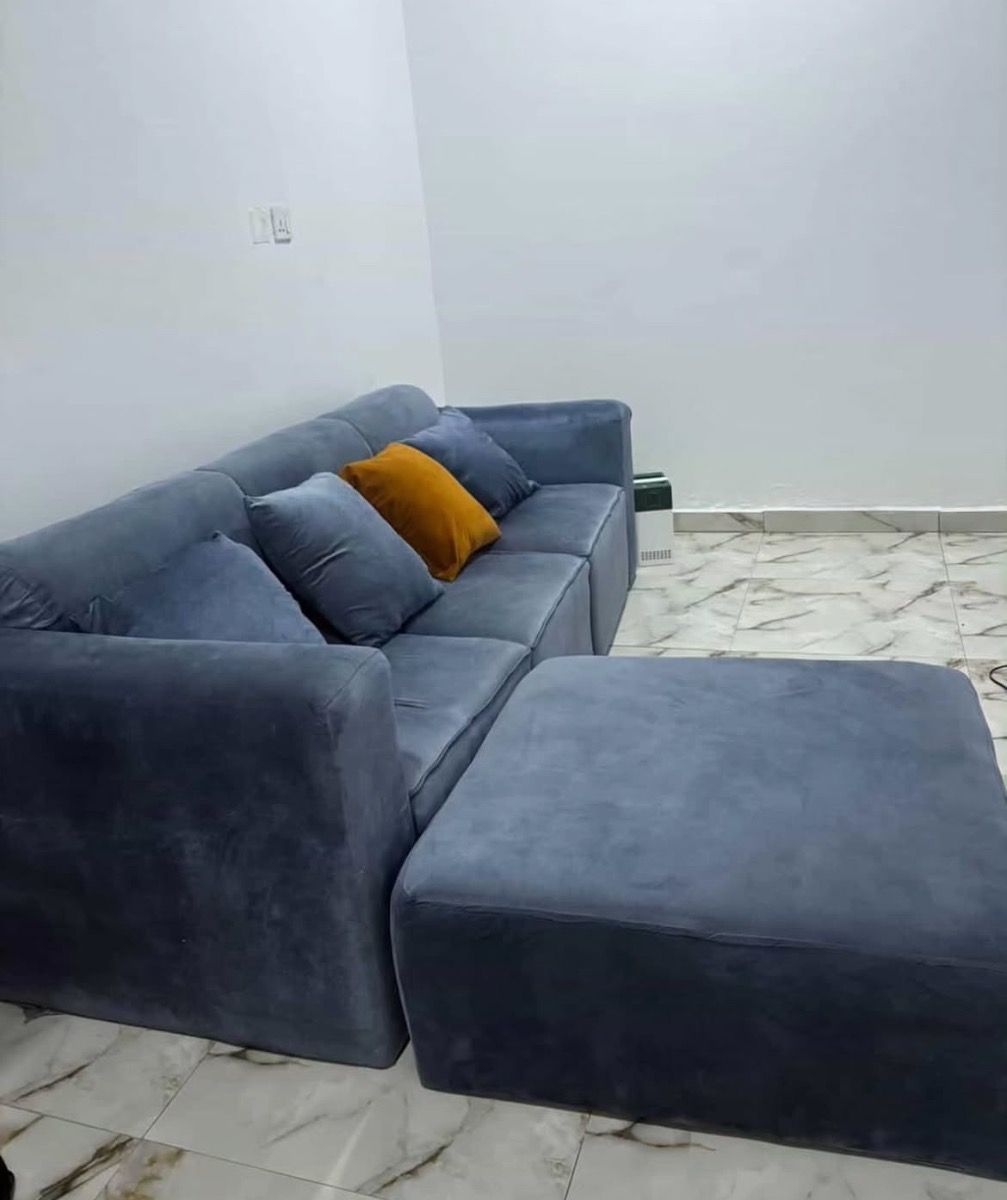 L shaped sofa plus throw pillows photo 2
