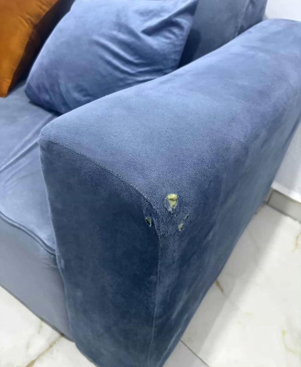 L shaped sofa plus throw pillows photo 4