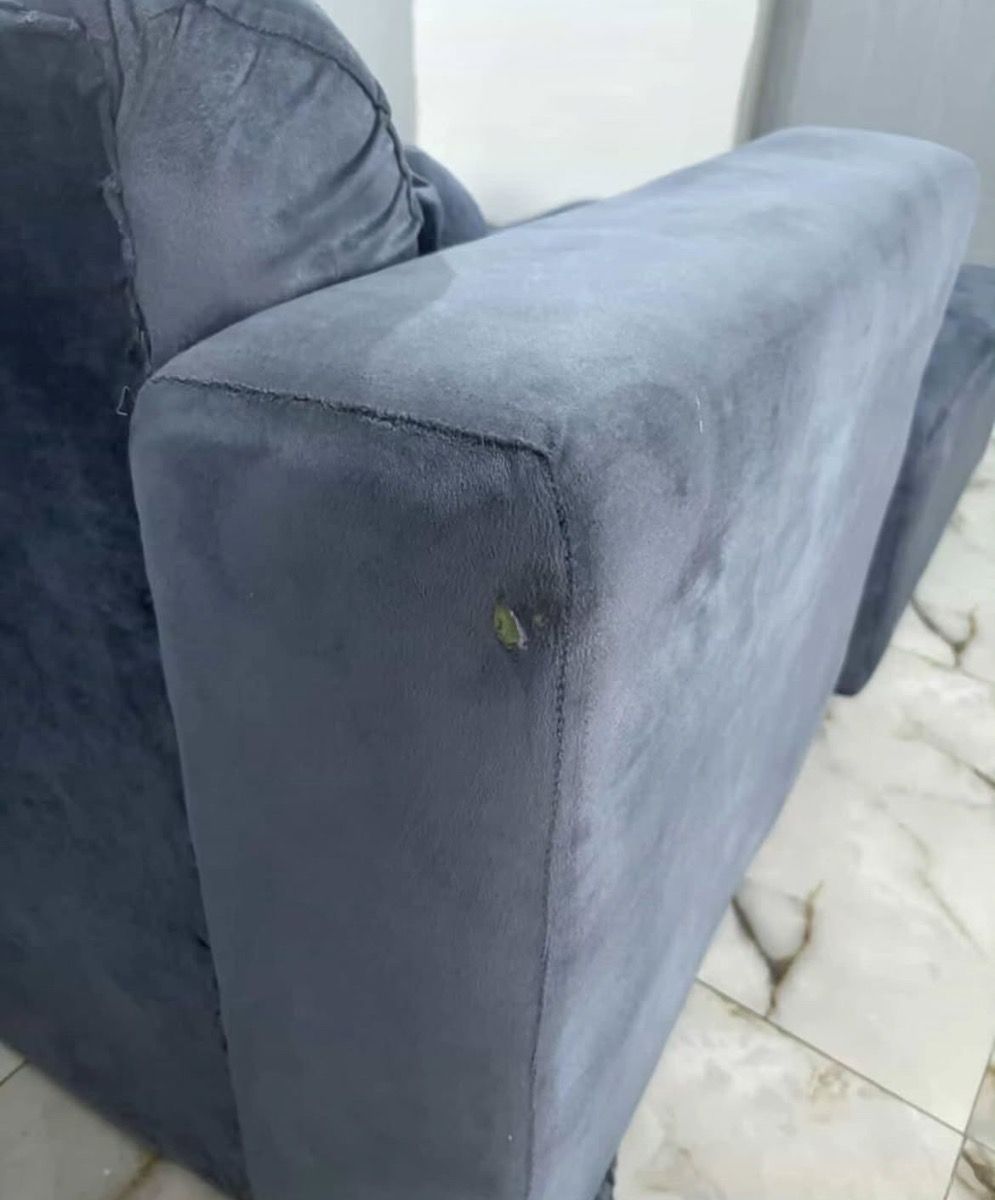 L shaped sofa plus throw pillows photo 5
